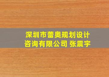 深圳市蕾奥规划设计咨询有限公司 张震宇